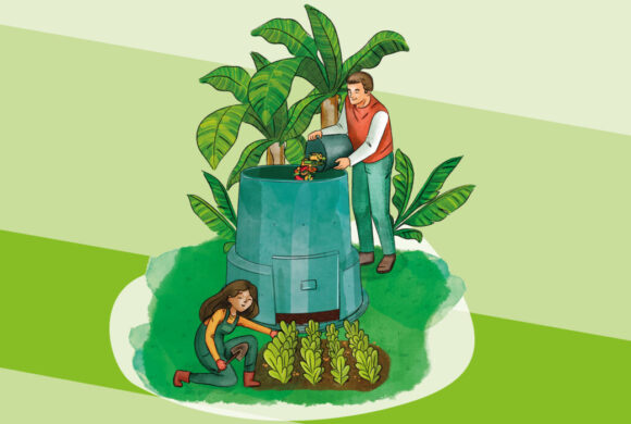 Bacs à compost