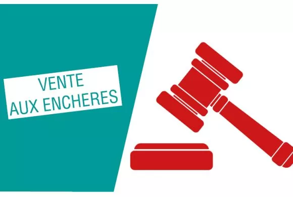 Vente aux enchères publiques sous pli fermé Vente aux enchères publiques sous pli fermé