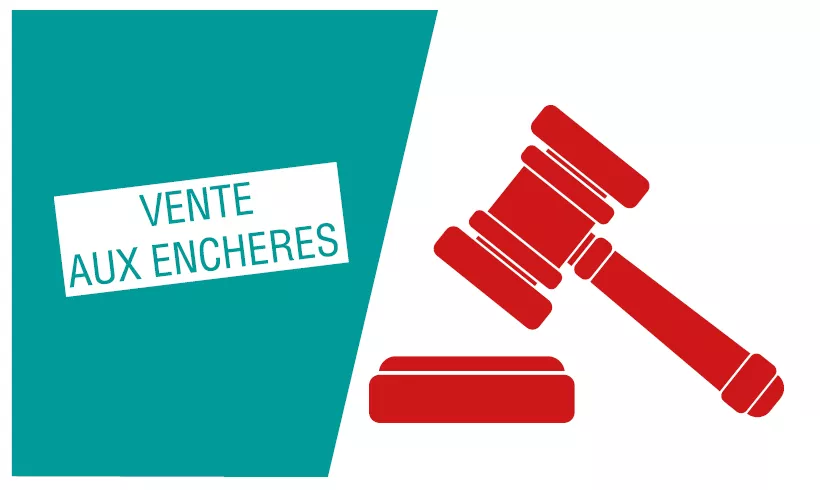 Vente aux enchères publiques sous pli fermé