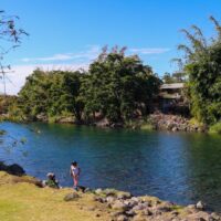Bassin Bleu : intervention de dératisation ce vendredi 17 avril 2026