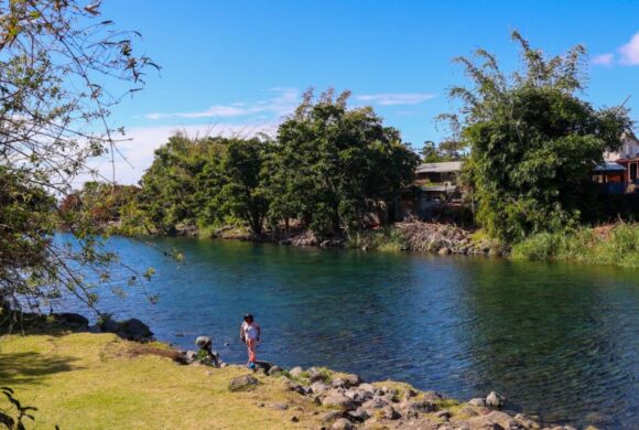 Bassin Bleu : intervention de dératisation ce vendredi 17 avril 2026 Bassin Bleu : intervention de dératisation ce vendredi 17 avril 2026