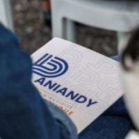 ZAE de Paniandy :  l’Appel à Manifestation d’Intérêt OUVERT pour les parcelles de la ZAE Paniandy