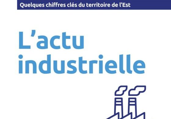 Eclairage sur l’industrie dans l’est de l’île par la CIREST (juin 2025)