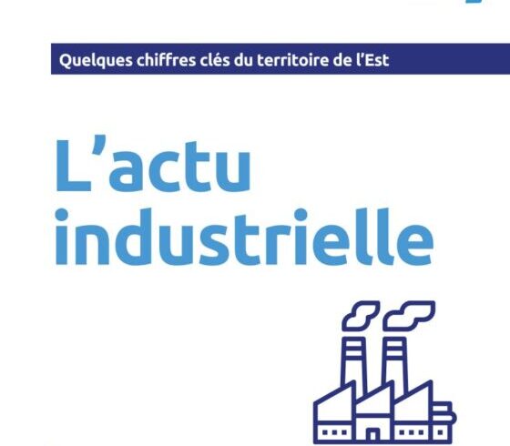 Eclairage sur l’industrie dans l’est de l’île par la CIREST (juin 2025)