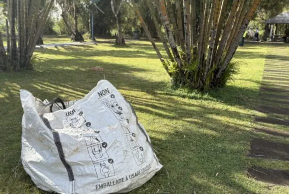 La CIREST consacre tout septembre au World Clean Up Day : découvrez les dates La CIREST consacre tout septembre au World Clean Up Day : découvrez les dates