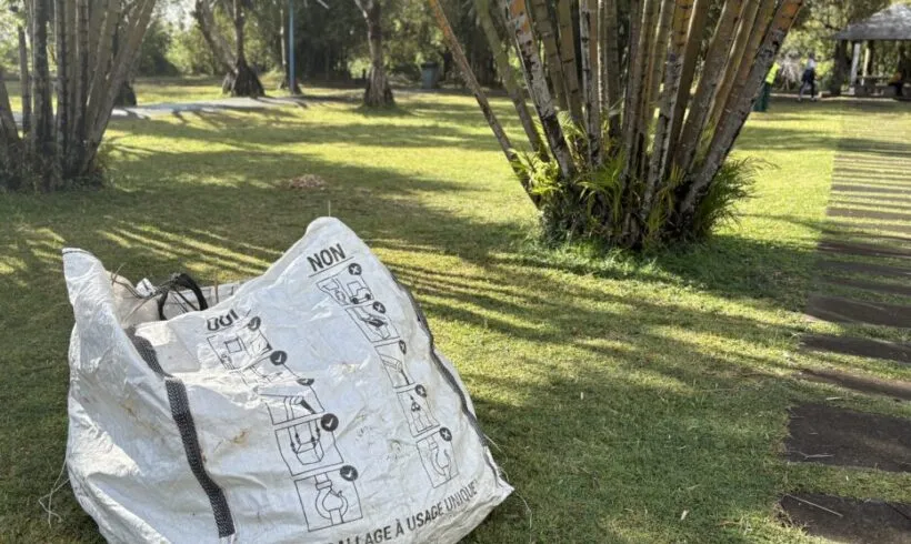 La CIREST consacre tout septembre au World Clean Up Day : découvrez les dates La CIREST consacre tout septembre au World Clean Up Day : découvrez les dates