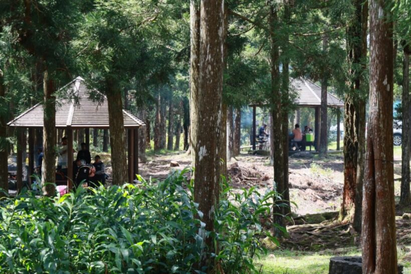 La CIREST était au Gayar Piknik 2025 : ateliers de sensibilisation au tri des déchets La CIREST était au Gayar Piknik 2025 : ateliers de sensibilisation au tri des déchets