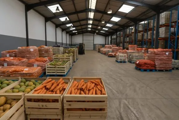 Projet d’un futur marché de gros dans l’est : avis de marché en cours