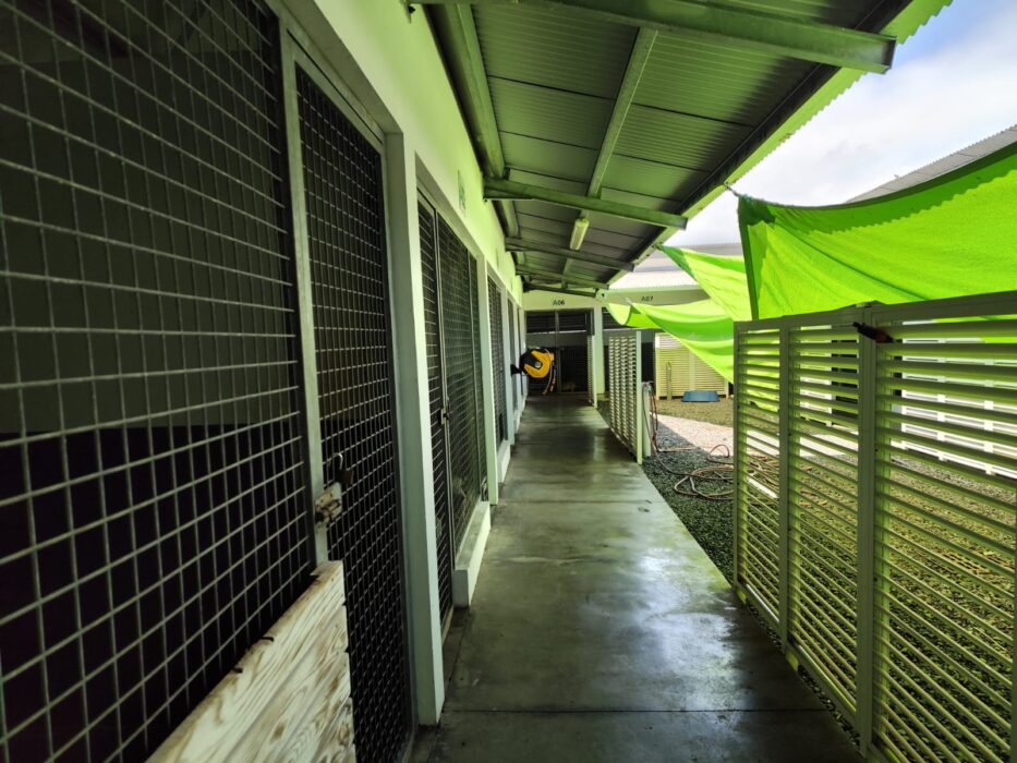 Fourrière animale - CIREST