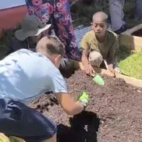 À Bras-Panon, le jardin potager comme outil pédagogique et inclusif