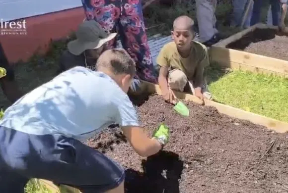 À Bras-Panon, le jardin potager comme outil pédagogique et inclusif À Bras-Panon, le jardin potager comme outil pédagogique et inclusif
