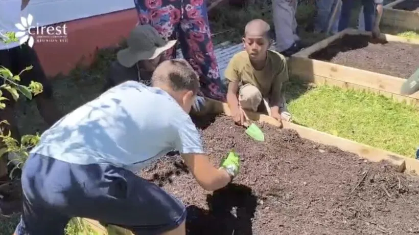 À Bras-Panon, le jardin potager comme outil pédagogique et inclusif