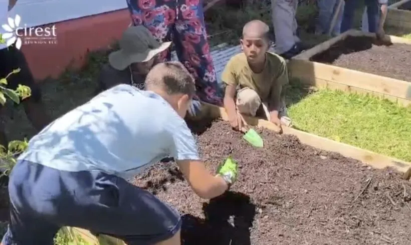À Bras-Panon, le jardin potager comme outil pédagogique et inclusif