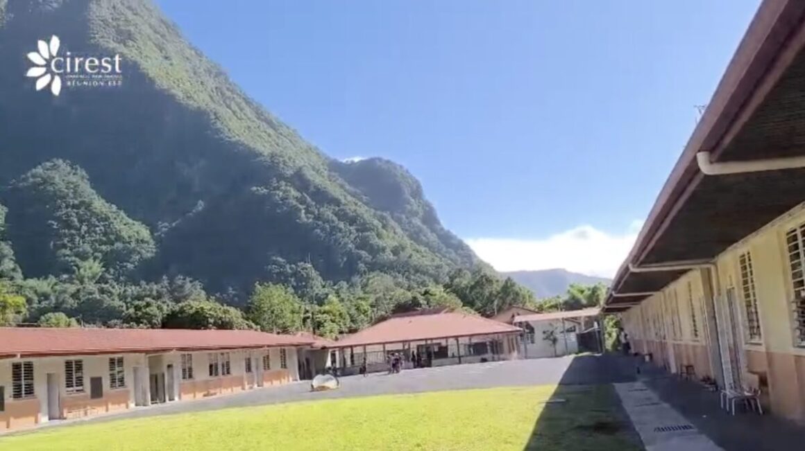 Jardins potagers 2026 : à Salazie, les élèves de Bois de Pomme mettent les mains à la terre Jardins potagers 2026 : à Salazie, les élèves de Bois de Pomme mettent les mains à la terre