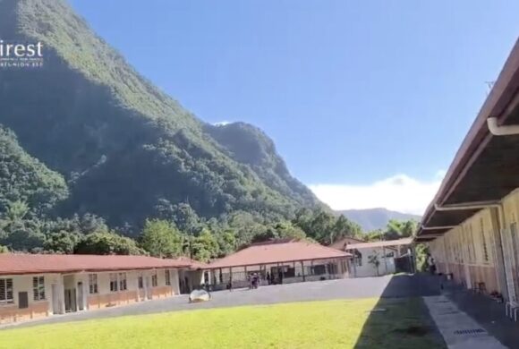 Jardins potagers 2026 : à Salazie, les élèves de Bois de Pomme mettent les mains à la terre Jardins potagers 2026 : à Salazie, les élèves de Bois de Pomme mettent les mains à la terre