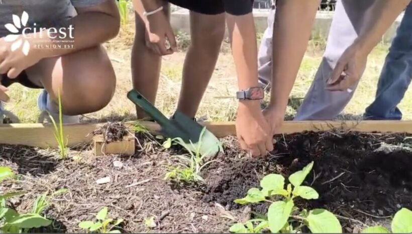 Lancement 2026 des Jardins Potagers dans les écoles du territoire CIREST