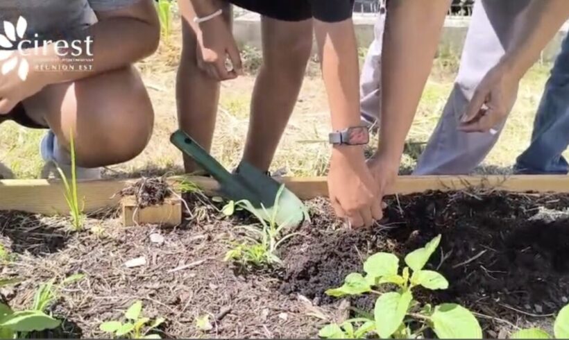 Lancement 2026 des Jardins Potagers dans les écoles du territoire CIREST