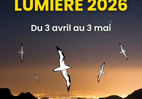 Nuits sans lumière 2026 : la CIREST s’engage pour la première fois aux côtés du territoire