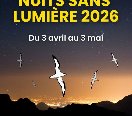 Nuits sans lumière 2026 : la CIREST s’engage pour la première fois aux côtés du territoire