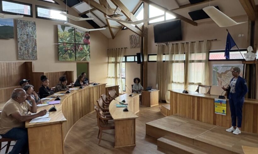 Création d’entreprise et dispositif BCE : une séance d’information organisée à La Plaine des Palmistes