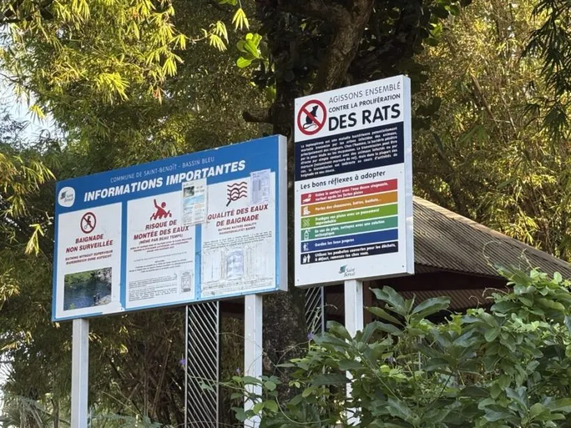 Bassin Bleu : intervention de dératisation ce vendredi 17 avril 2026