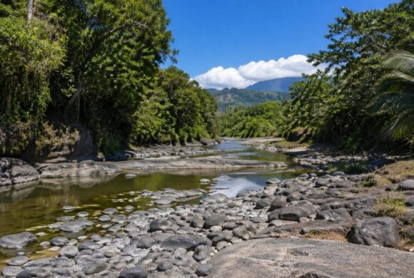 Sécheresse : vigilance renforcée et appel à la responsabilité de tous( point au 22 avril 2026)