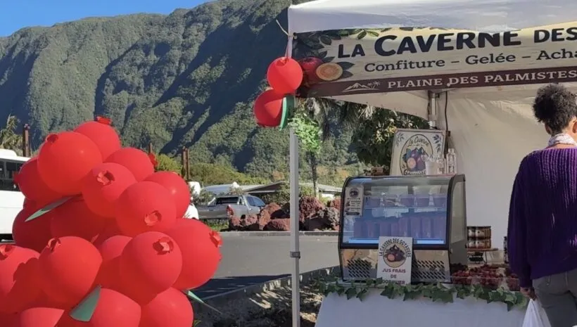 Ouverture ce samedi du Marché des Goyaviers de la Plaine-des-Palmistes : entre identité et résilience Ouverture ce samedi du Marché des Goyaviers de la Plaine-des-Palmistes : entre identité et résilience
