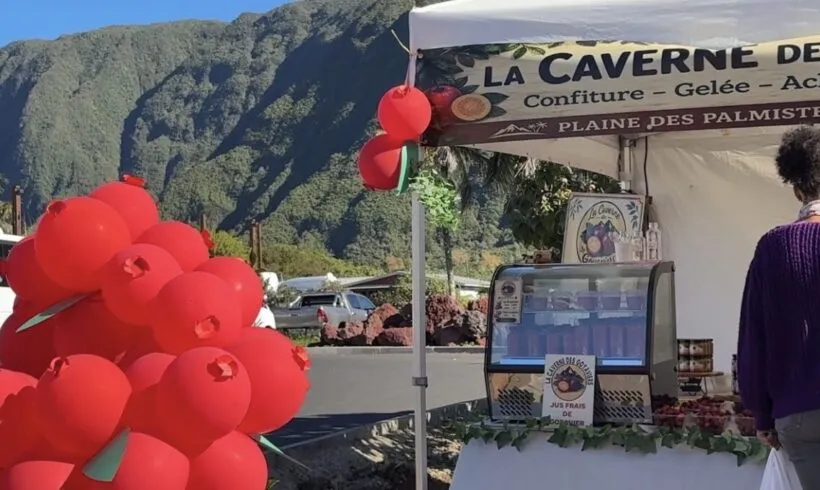 Ouverture ce samedi du Marché des Goyaviers de la Plaine-des-Palmistes : entre identité et résilience Ouverture ce samedi du Marché des Goyaviers de la Plaine-des-Palmistes : entre identité et résilience