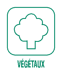 Déchets végétaux