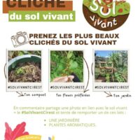 Fête du Sol Vivant 2026 : la CIREST invite les Réunionnais à découvrir la vie qui se cache sous leurs pieds !