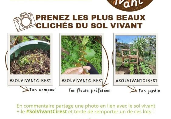Fête du Sol Vivant 2026 : la CIREST invite les Réunionnais à découvrir la vie qui se cache sous leurs pieds !