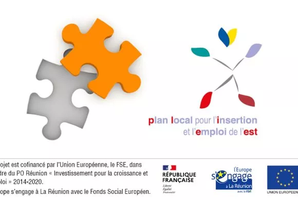 PLIE : Plan Local pour l’Insertion et l’Emploi PLIE : Plan Local pour l’Insertion et l’Emploi