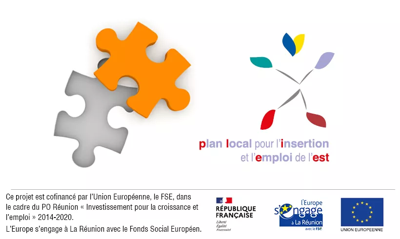 PLIE : Plan Local pour l’Insertion et l’Emploi PLIE : Plan Local pour l’Insertion et l’Emploi